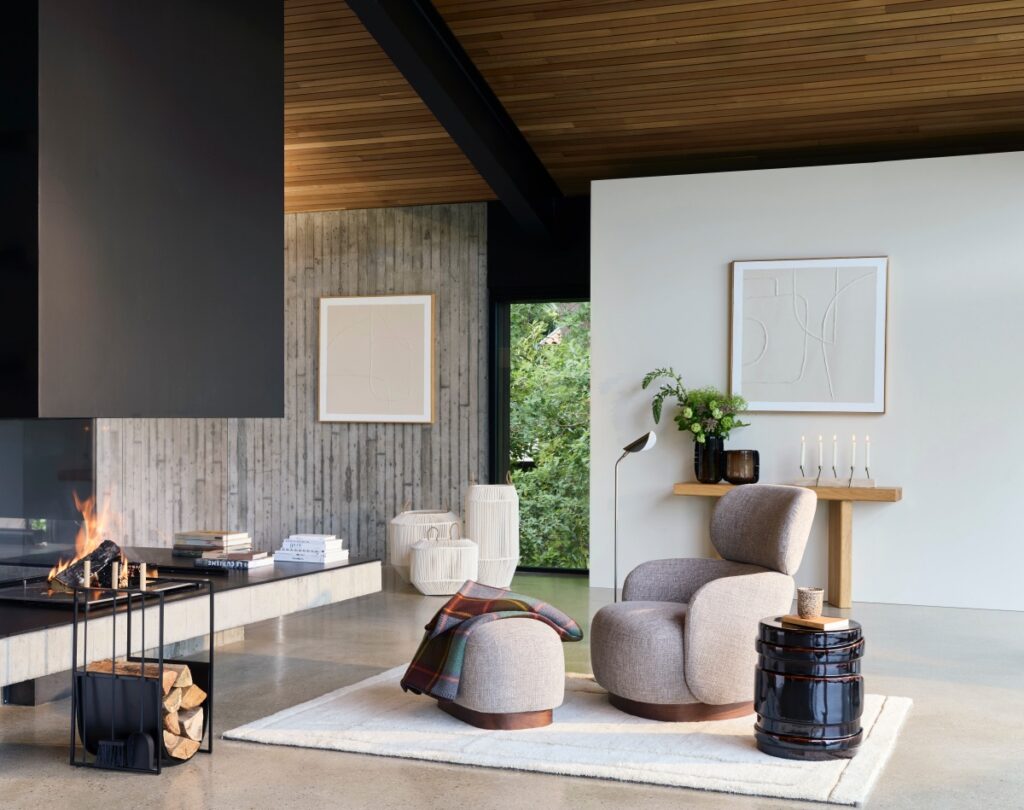 salon design avec cheminée contemporaine