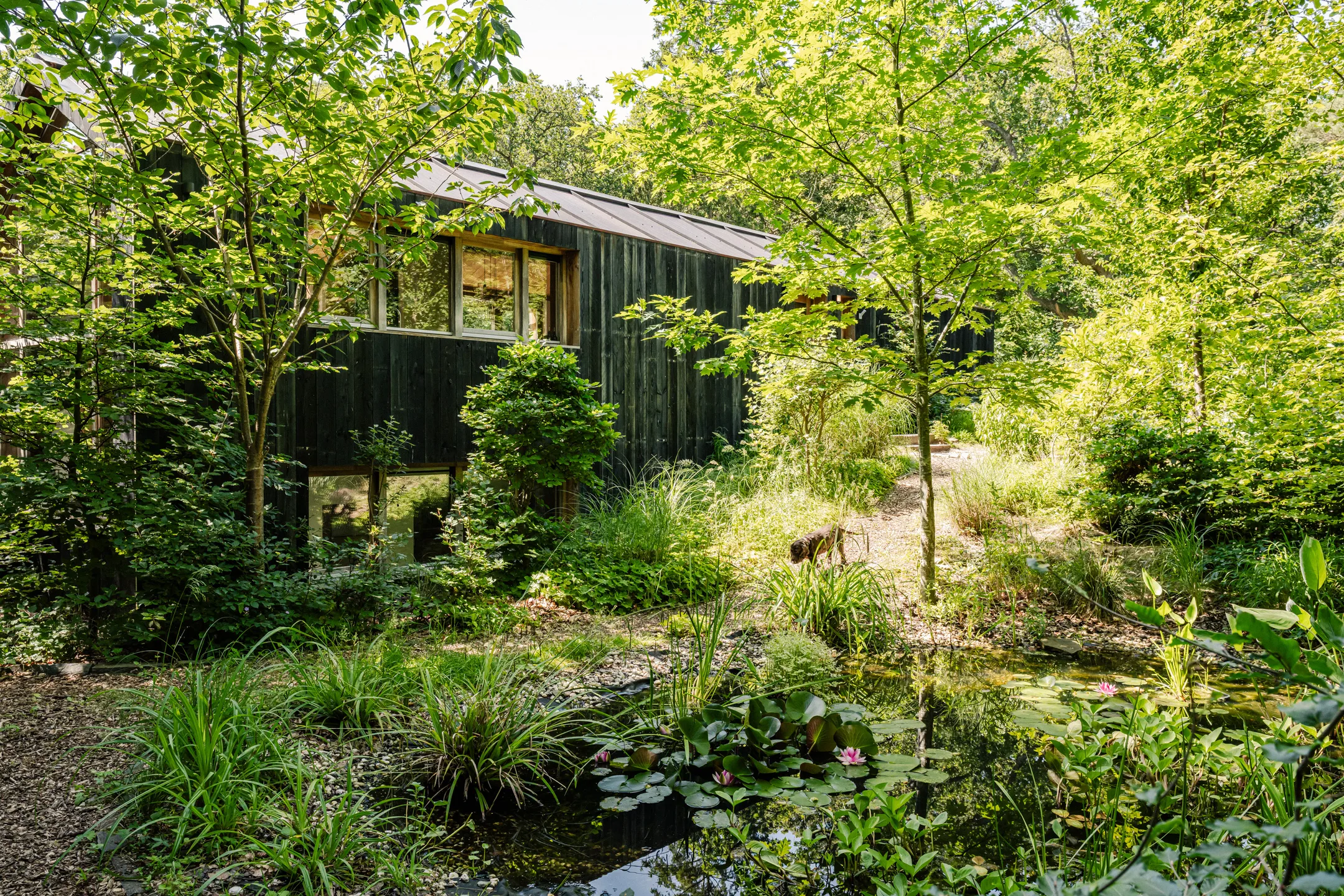 maison contemporaine en bois avec piscine écologique et naturelle maison contemporaine en bois avec piscine écologique et naturelle