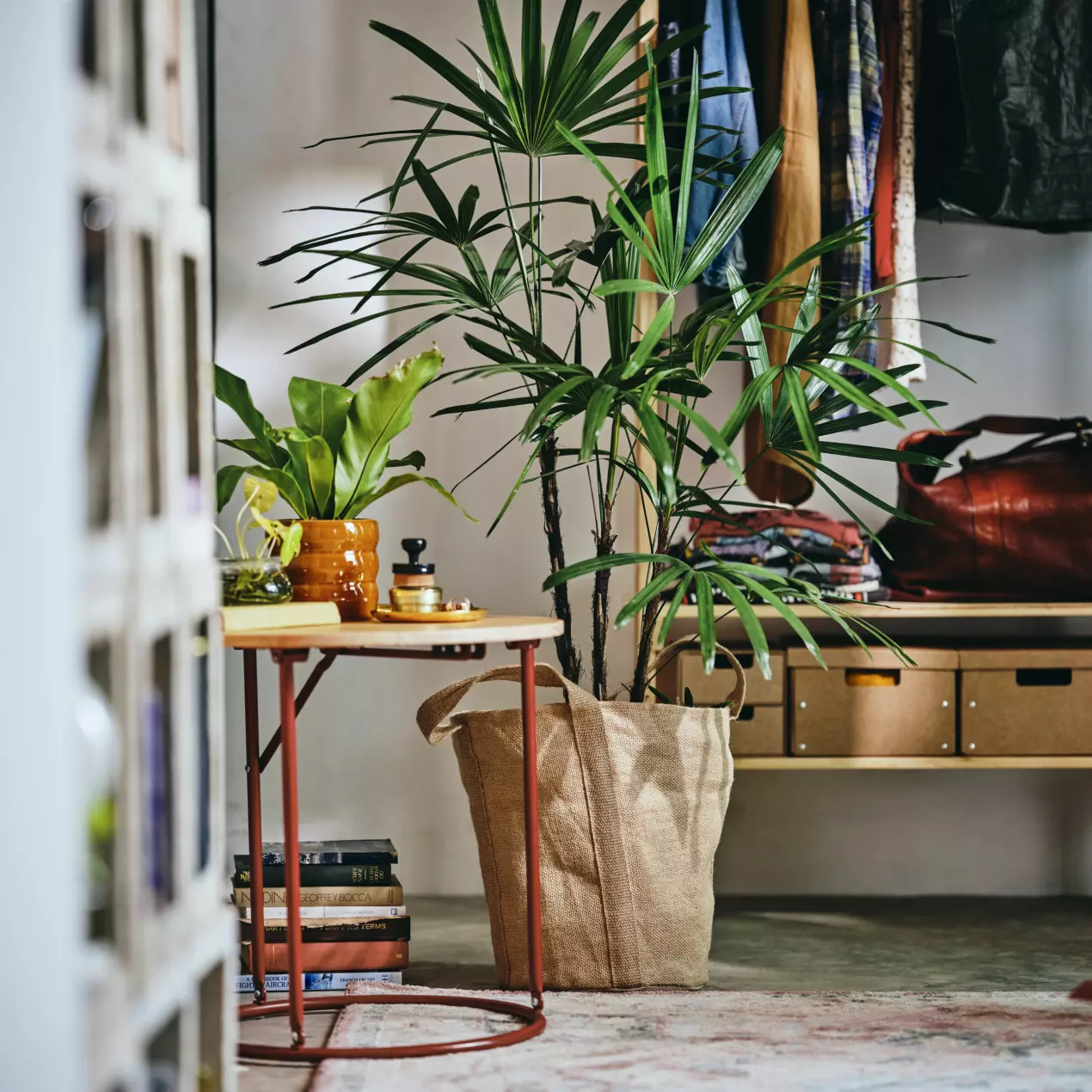 nouvelle collection IKEA Kompishäng août 2026
