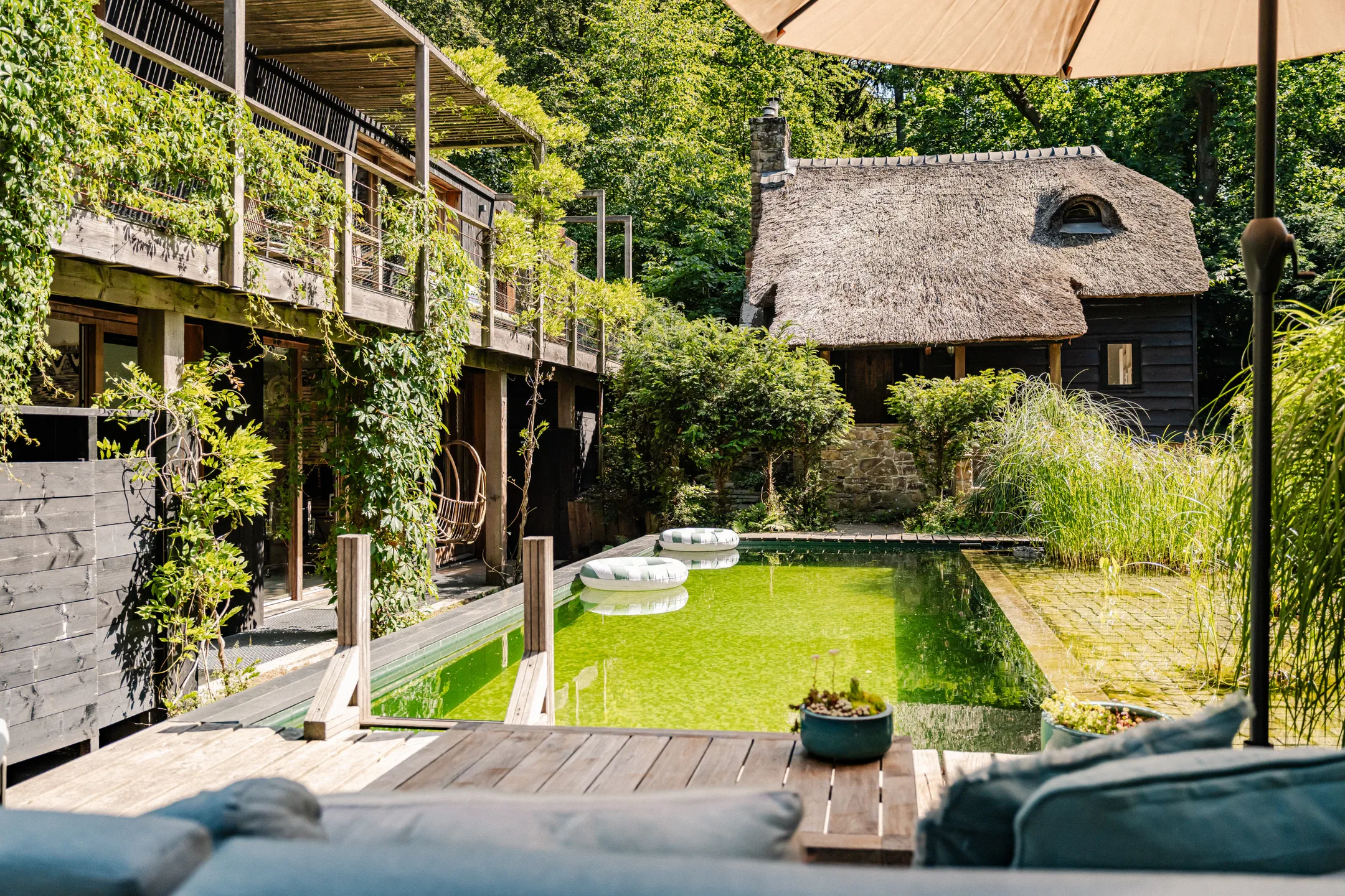 maison avec piscine naturelle