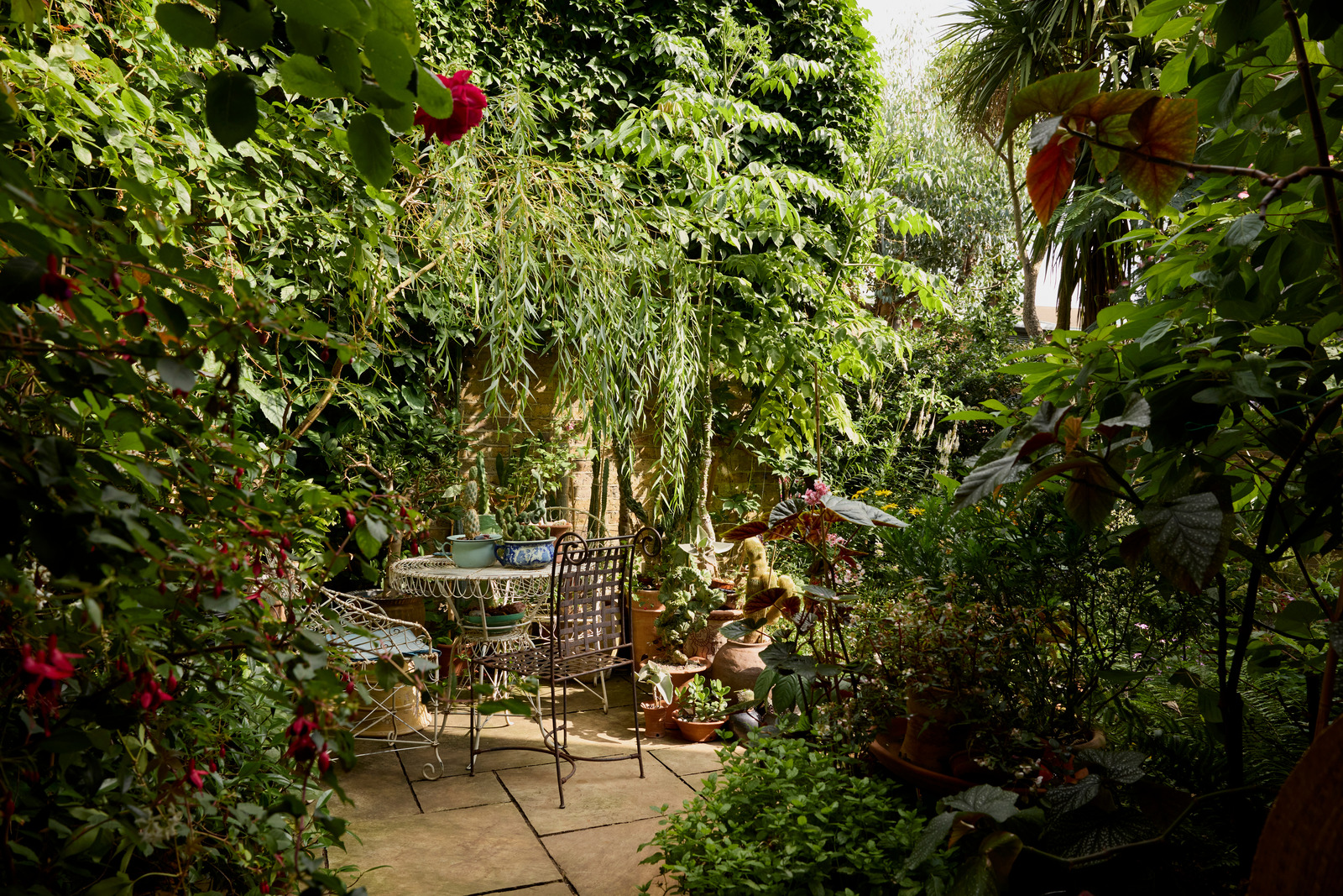 jardin de ville maison dans ancienne école victorienne Londres jardin de ville maison dans ancienne école victorienne Londres