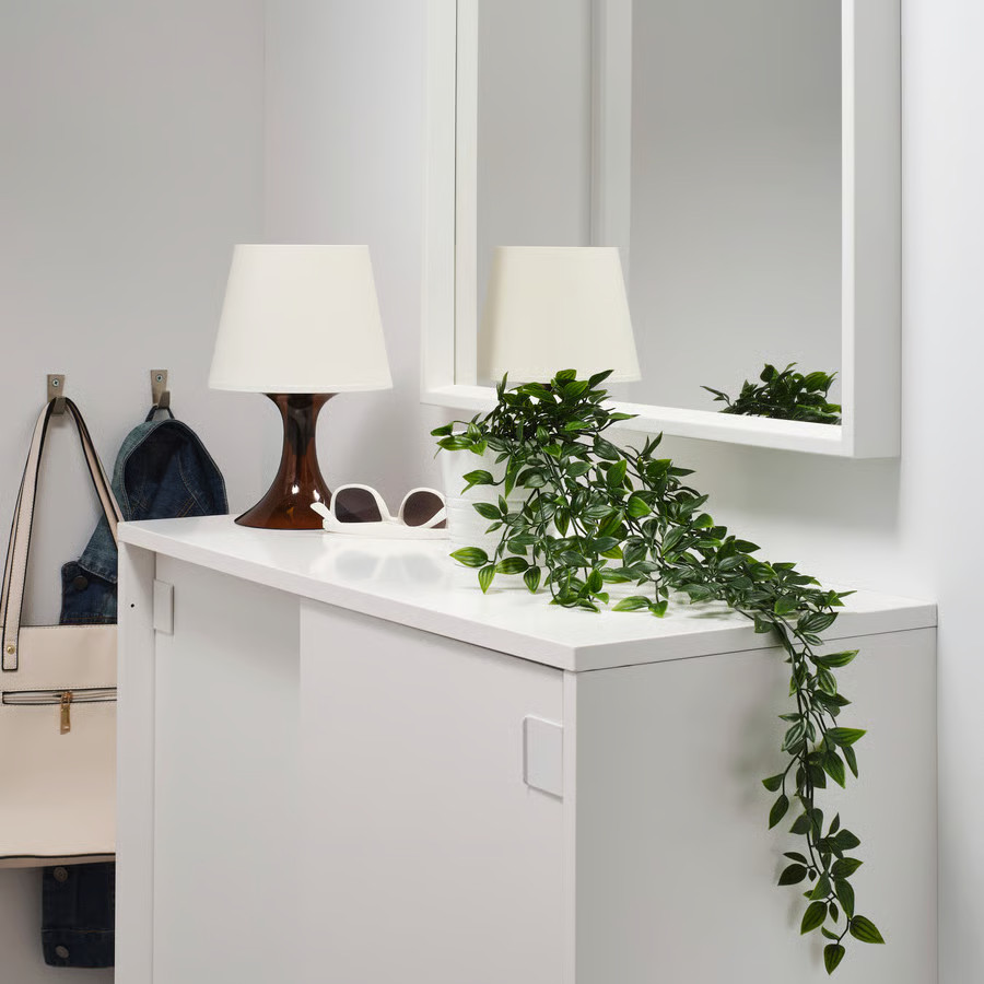 plante verte dans entrée devant miroir plante verte dans entrée devant miroir
