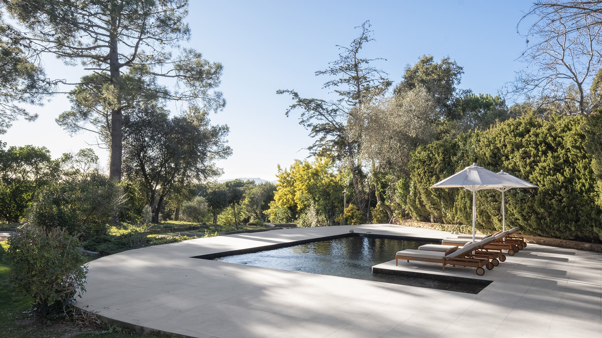 jardin avec piscine maison Espagne "Refuge in the Woods" par Susanna Cots jardin avec piscine maison Espagne "Refuge in the Woods" par Susanna Cots