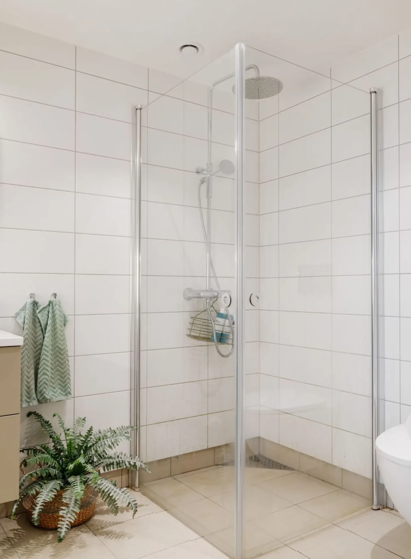 salle de bain contemporaine blanc et bois