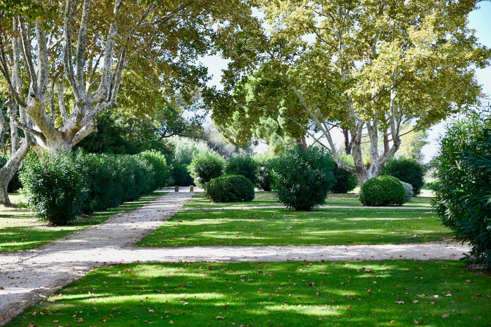 lush garden in Provence
