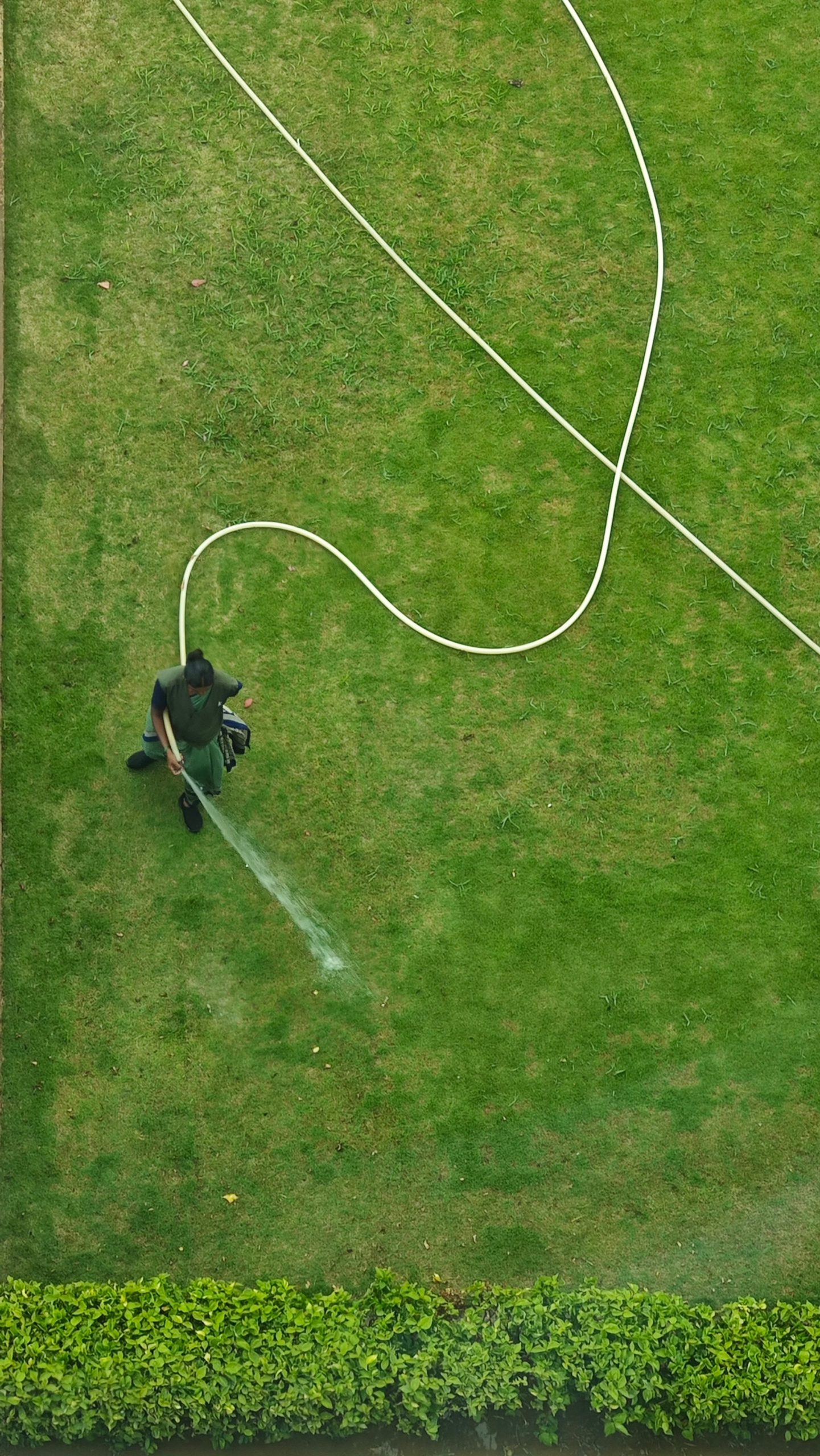 hydroseeding pour nouvelle pelouse hydroseeding pour nouvelle pelouse