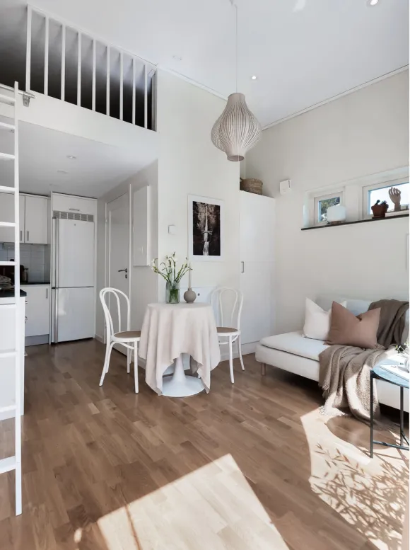 salon avec mezzanine mini maison 19m2